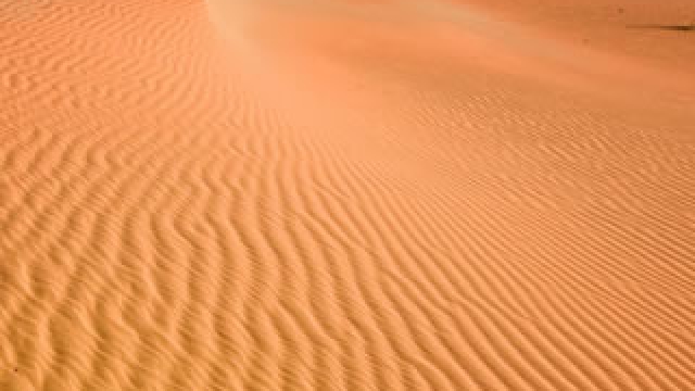 Journey Through the Sahara: Morocco Desert Tours Unveiled