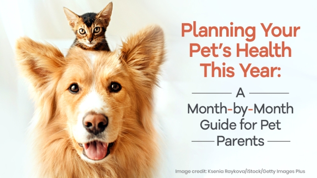Purr-fectly Pawsome: Unleashing Vital Tips for Pet Health