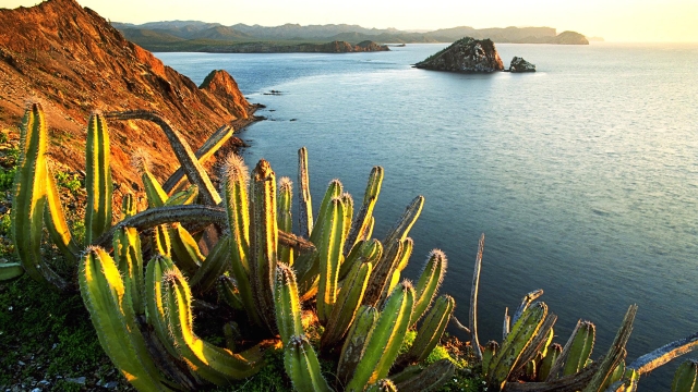 The Marvels of Mexico: Exploring Rich Culture, Stunning Landscapes, and Vibrant Cuisine
