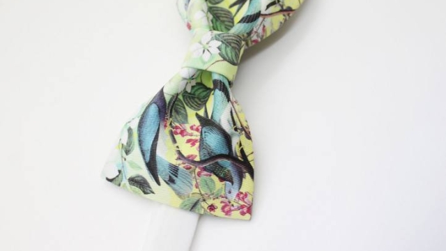 Dressing to Impress: Unleashing the Charm of Wedding Ties, Bow Ties, and Tropical Ties
