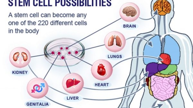 The Incredible Potential of Stem Cell Therapy: Revolutionizing Medicine