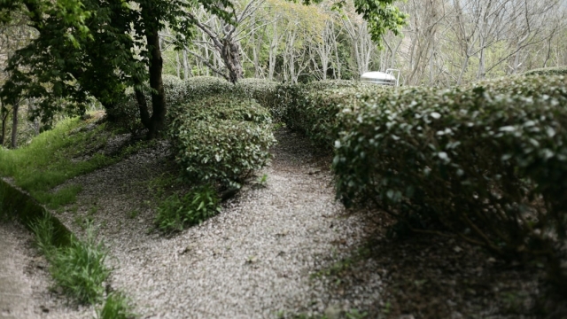 Understanding Different Types of Pavers