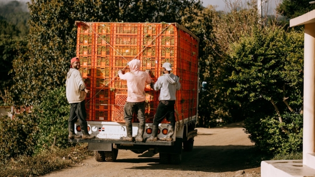 Understanding the Costs of Moving Services